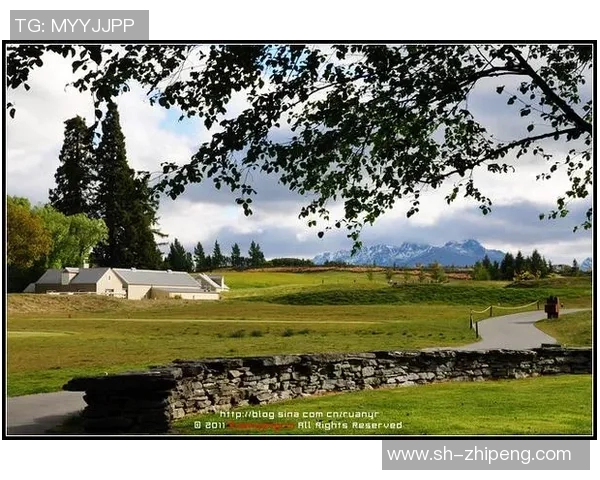 葡萄牙与新西兰精彩对决回顾及赛后分析全景呈现 葡萄牙与新西兰精彩对决回顾及赛后分析全景呈现