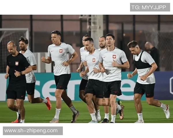 德国对阵波兰的比赛比分预测及分析展望