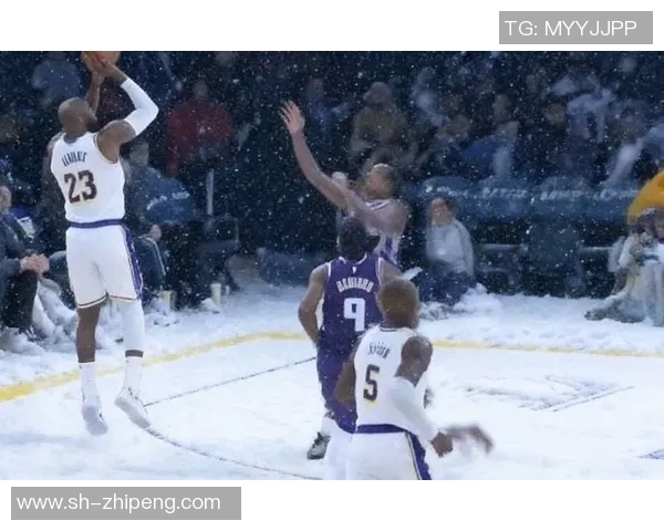 湖人对决国王精彩直播NBA赛场激战正酣不容错过