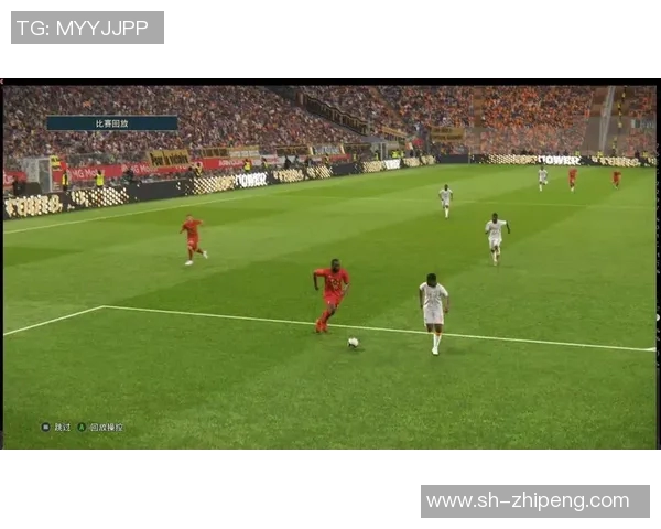 2008年世界杯小组赛阿根廷对决科特迪瓦精彩回顾与赛后分析 2008年世界杯小组赛阿根廷对决科特迪瓦精彩回顾与赛后分析