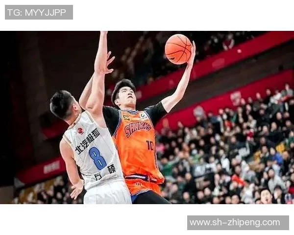 上海篮球队灵活性创新高引发关注助力球队崛起与发展