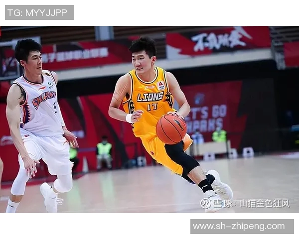 广厦与北京精彩对决回放全程回顾与分析