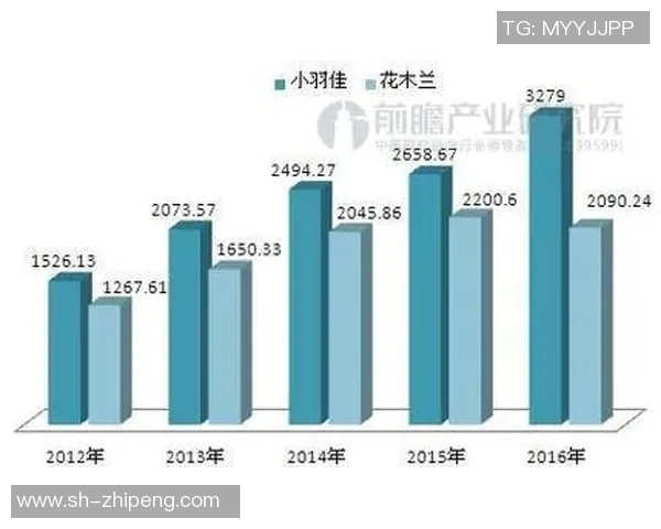 杭州排球队防守反击的优势与不足分析及未来改进方向探讨