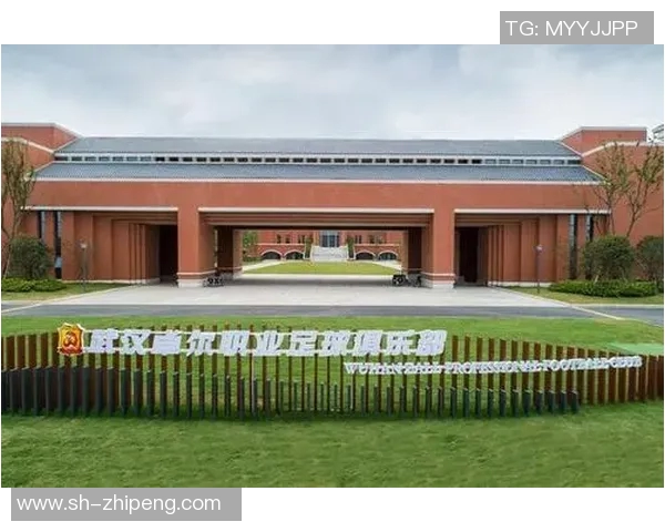 武汉足球队运营革新探索：从管理模式到球迷互动的全方位升级